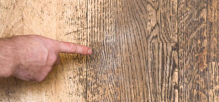 Wood Door Scratch Repair in Newark